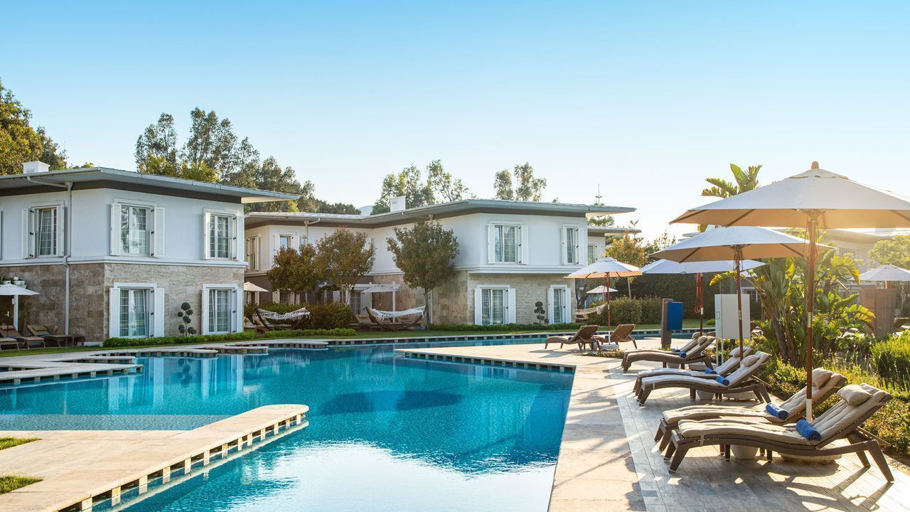 Cornelia Diamond Hakkında